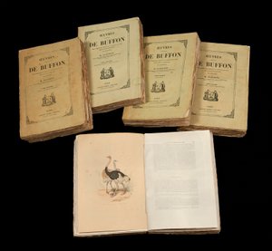 De volledige werken van Buffon (1707 - 1788) - privécollectie