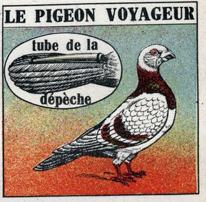Het postkantoor: de reizende duif. Anonieme illustratie uit 1925. Privécollectie.