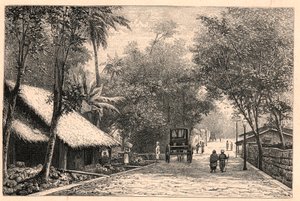 Zicht op een straat in Colombo in Ceylon (Sri Lanka). Gravure in 
