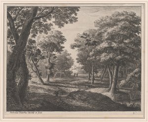 Een pad door het bos