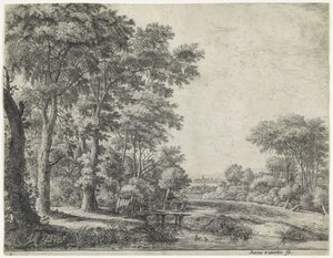 Bosrand met een houten brug