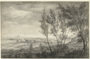 Gezicht vanuit de duinen op Haarlem door Anthonie Waterloo