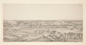 Landschap: De Duinen bij Haarlem