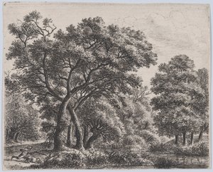 De Eendenjager, 17e eeuw door Anthonie Waterloo