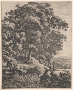 De kleine bultenaar, 17e eeuw