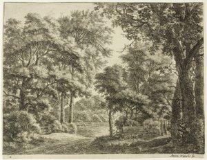 De delen van het hout die pas zijn gesneden