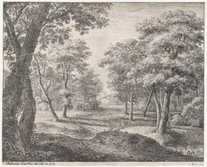De Weg door het Bos