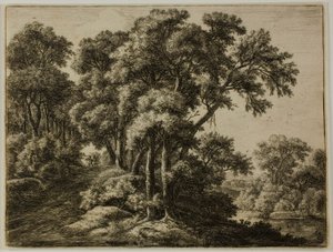 Het bospad door Anthonie Waterloo
