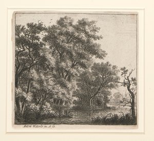 Het Beboste Eiland