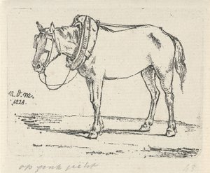 Opgetuigd paard