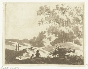 Duinlandschap