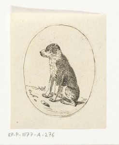 Zittende hond