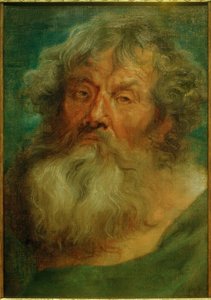 Hoofd van een oude man door Anthony van Dyck