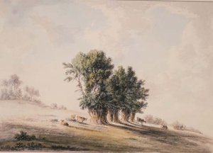Landschap