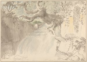 Waterval en boomstam