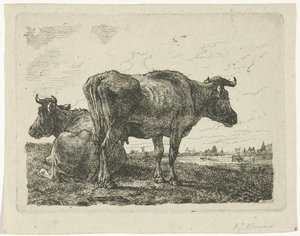 Twee koeien