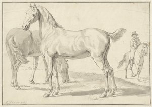 Twee paarden in een weide, rechts een ruiter door Anthony Jacobus Offermans