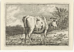 Koe staand in een plas (Koeien) door Anthony Oberman