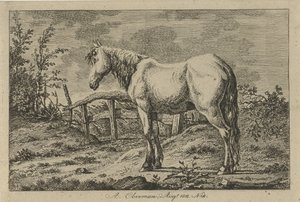 Staand paard door Anthony Oberman