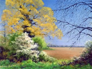 Sleedoornwinter door Anthony Rule