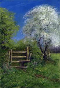 Lente bij de stijl door Anthony Rule