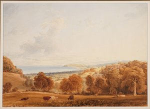Verre uitzicht op Dunster, Somerset