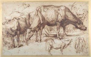 Vee in Weide, c.1618-20 door Anthony van Dyck