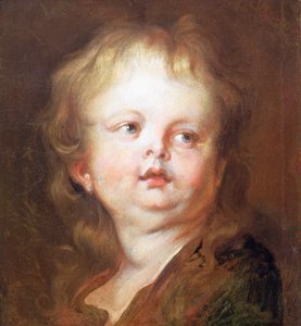 Hoofd van een Jongen door Anthony van Dyck