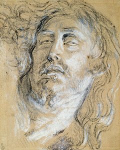 Hoofd van de dode Christus
