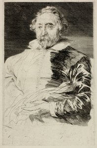 Willem de Vos