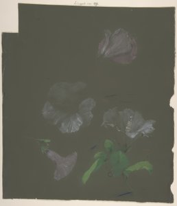 Floraal ontwerp door Antoine Berjon