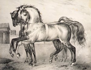De paarden bereden door Louis Philippe, de hertog van Orleans bij de Slag van Valmy, gegraveerd door Victor Adam