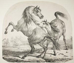 Wilde paarden vechten, c.1820 door Antoine Charles Horace Vernet
