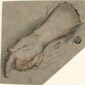 Handrug en onderarm