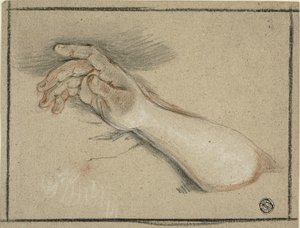Hand en onderarm