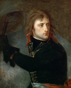 Napoleon Bonaparte bij de Pont d