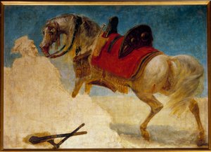 Studie van paardenharnas