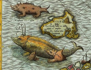 Detail van Een Kaart van de Zee (Carta marina) door Olaus Magnus