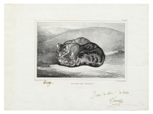 Étude de chats door Antoine Louis Barye