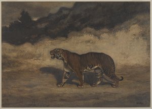 Tijger Wandelt naar Links