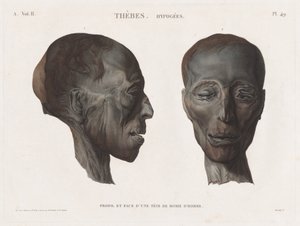 Beschrijving van Egypte: Thebe. Hypogees Vol. II, Pl. 49