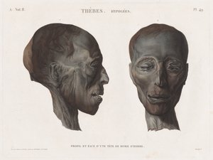 Beschrijving van Egypte: Thebe. Hypogees Vol. II, Pl. 49