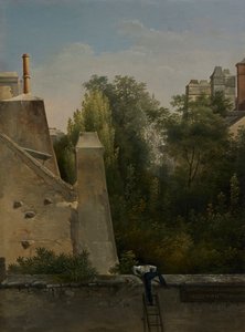De nieuwsgierige door Antoine Pierre Mongin
