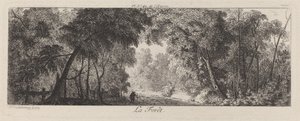 Het bos