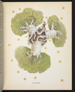 De Baobabs, illustratie uit 