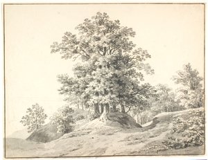Landschap met grote bomen bij de Elbe. Buxtehude door Anton Carl Dusch