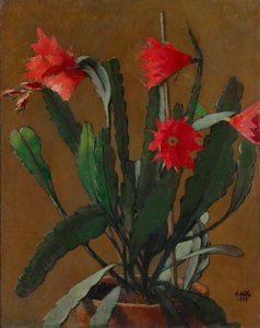 Stilleven met bloeiende cactus