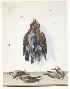 Stilleven met vogels door Anton Ignaz Hamilton