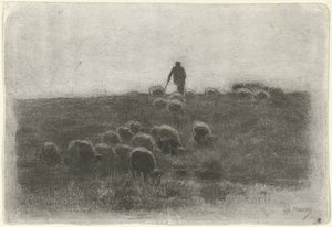 Herder met kudde schapen