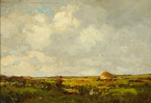 Landschap